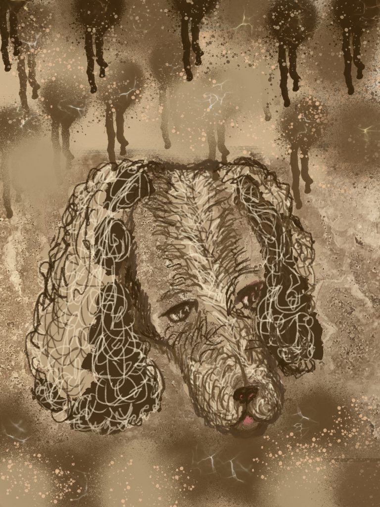 An example of using Procreate to develop the perceived image seen in a floor tile.