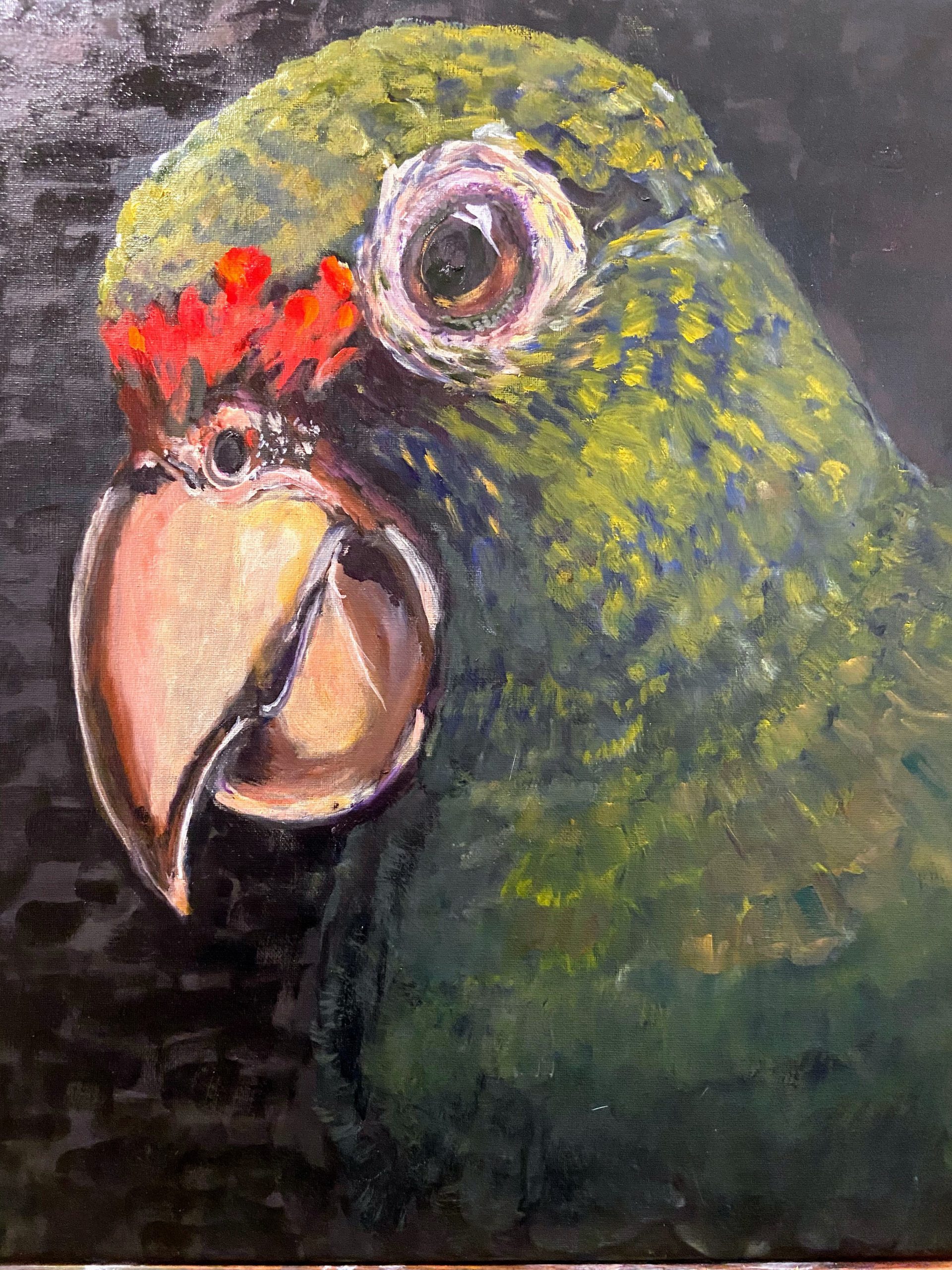 Finished oil painting of a parrot head using optical mixing