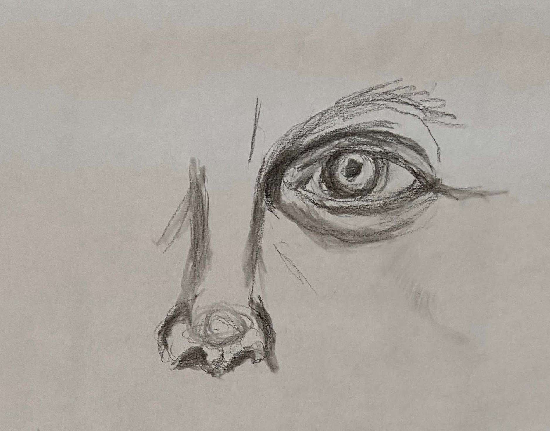 Charcoal drawing of the author's eye and nose