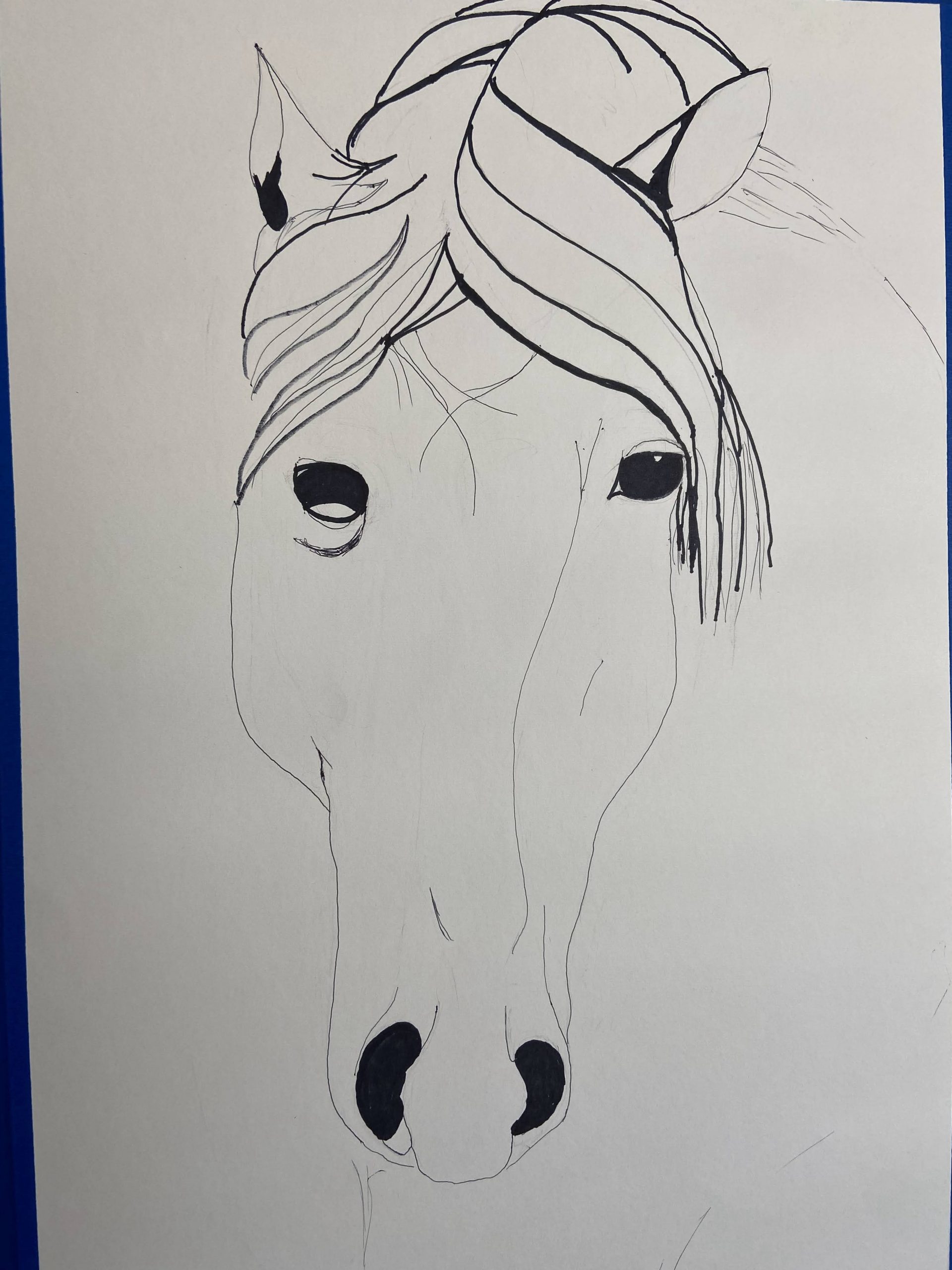 Pen and ink sketch of a horse head