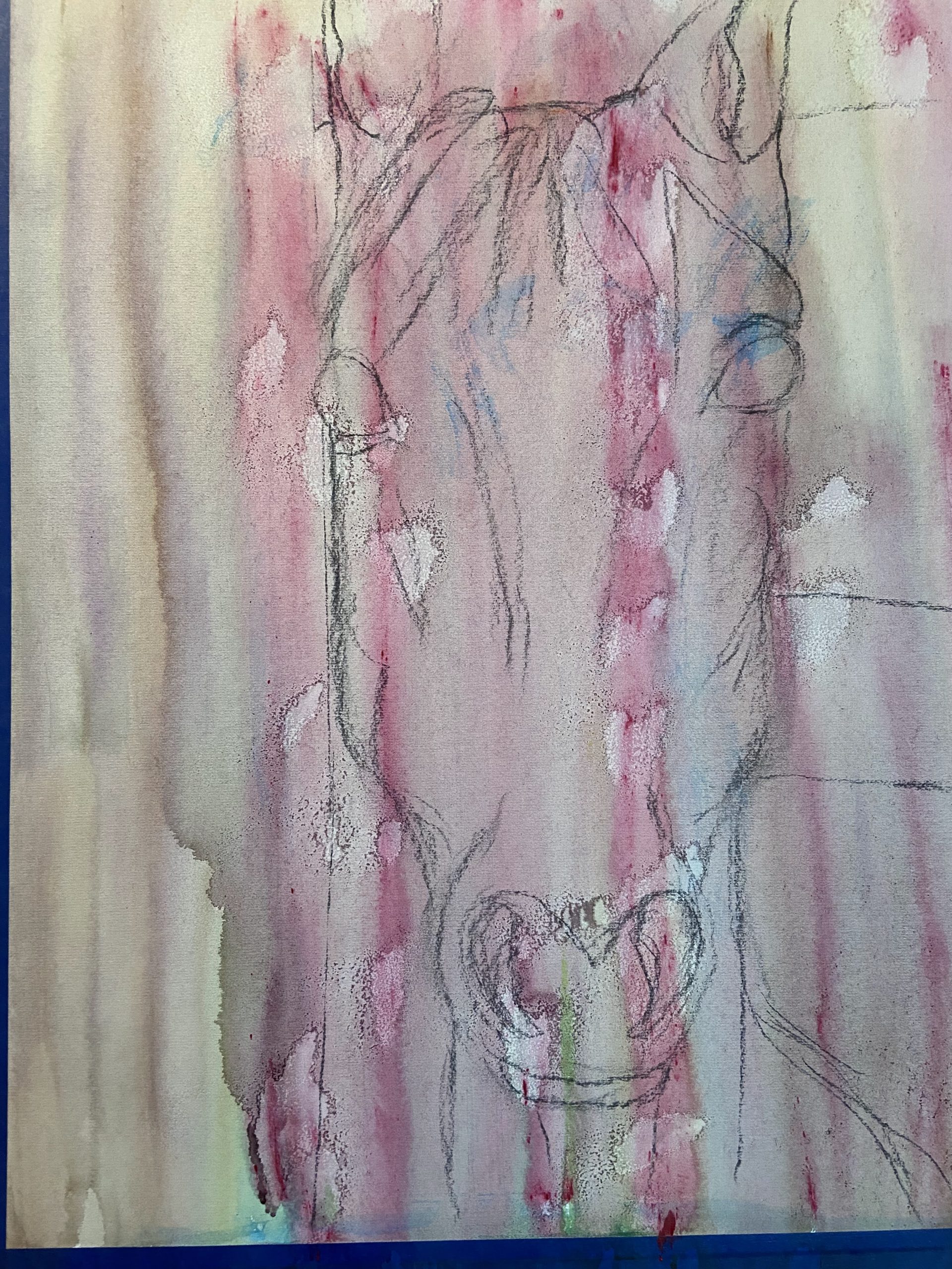 Drawing of a horse head on an acrylic background